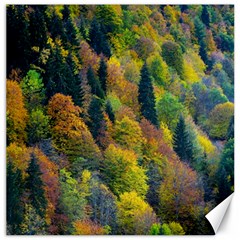 Forest Trees Leaves Fall Autumn Nature Sunshine Canvas 20  X 20  by Ravend