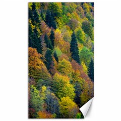 Forest Trees Leaves Fall Autumn Nature Sunshine Canvas 40  X 72  by Ravend