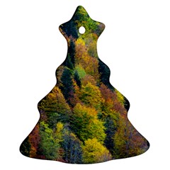 Forest Trees Leaves Fall Autumn Nature Sunshine Ornament (christmas Tree) 