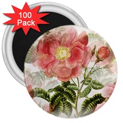 Flowers-102 3  Magnets (100 Pack) by nateshop