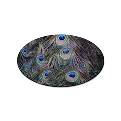 Peacock Feathers Peacock Bird Feathers Sticker (oval) by Jancukart