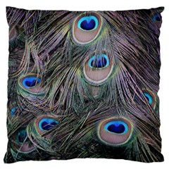 Peacock Feathers Peacock Bird Feathers Large Premium Plush Fleece Cushion Case (one Side) by Jancukart