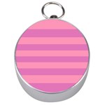 Pink Stripes Striped Design Pattern Silver Compasses