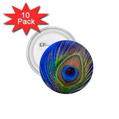 Blue Peacock Feather 1 75  Buttons (10 Pack) by Amaryn4rt