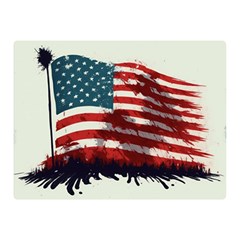 Patriotic Usa United States Flag Old Glory Two Sides Premium Plush Fleece Blanket (mini)