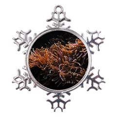 Sea Anemone Coral Underwater Ocean Sea Water Metal Large Snowflake Ornament by pakminggu