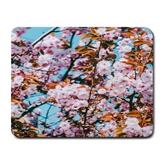 Nature Beautiful Rainbow Small Mousepad by artworkshop