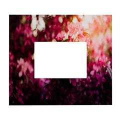 Pink Flower White Wall Photo Frame 5  X 7 