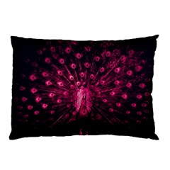 Peacock Pink Black Feather Abstract Pillow Case by Wav3s