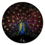 Peacock Feathers Magnet 5  (Round)