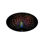 Peacock Feathers Sticker Oval (10 pack)