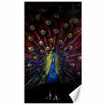 Peacock Feathers Canvas 40  x 72 
