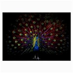 Peacock Feathers Large Glasses Cloth (2 Sides)