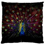 Peacock Feathers Large Cushion Case (One Side)