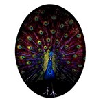 Peacock Feathers Oval Glass Fridge Magnet (4 pack)