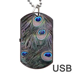 Peacock Feathers Peacock Bird Feathers Dog Tag Usb Flash (two Sides) by Ndabl3x