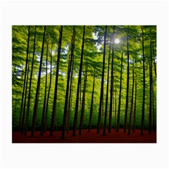 Green Forest Jungle Trees Nature Sunny Small Glasses Cloth by Ravend