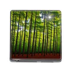 Green Forest Jungle Trees Nature Sunny Memory Card Reader (square 5 Slot) by Ravend