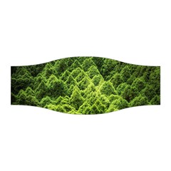 Green Pine Forest Stretchable Headband