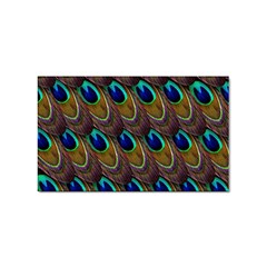 Peacock-feathers-bird-plumage Sticker Rectangular (100 Pack) by Ravend
