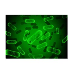 Green-rod-shaped-bacteria Crystal Sticker (a4) by Simbadda