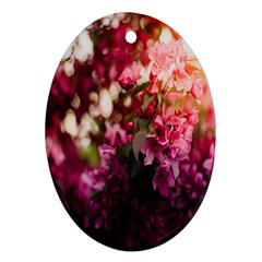 Pink Flower Oval Ornament (two Sides) by artworkshop