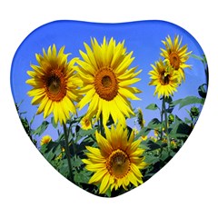 Sunflower Gift Heart Glass Fridge Magnet (4 Pack) by artworkshop