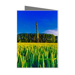 Different Grain Growth Field Mini Greeting Cards (pkg Of 8)