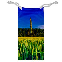 Different Grain Growth Field Jewelry Bag