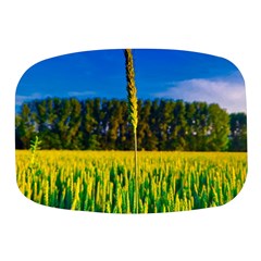 Different Grain Growth Field Mini Square Pill Box by Ravend