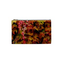 Red And Yellow Ivy  Cosmetic Bag (small) by okhismakingart