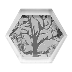 Tree-moon-night-sky-landscape Hexagon Wood Jewelry Box by Bedest