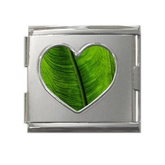 Green-leaf-plant-freshness-color Mega Link Heart Italian Charm (18mm)