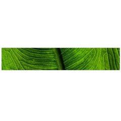 Green-leaf-plant-freshness-color Large Premium Plush Fleece Scarf 