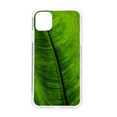 Green-leaf-plant-freshness-color Iphone 11 Tpu Uv Print Case