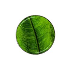 Green-leaf-plant-freshness-color Hat Clip Ball Marker by Bedest