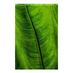 Green-leaf-plant-freshness-color Shower Curtain 48  X 72  (small) 