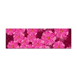 Cherry-blossoms-floral-design Sticker Bumper (10 pack)