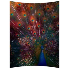 Peacock Feather Bird Back Support Cushion