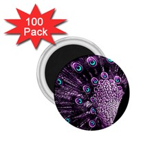 Purple Peacock 1 75  Magnets (100 Pack) 