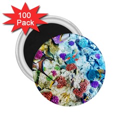 Fish The Ocean World Underwater Fishes Tropical 2 25  Magnets (100 Pack) 