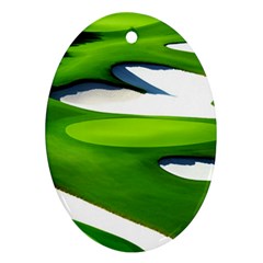 Golf Course Par Green Oval Ornament (two Sides) by Sarkoni