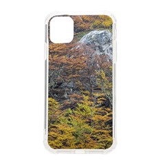 Wilderness Palette, Tierra Del Fuego Forest Landscape, Argentina Iphone 11 Tpu Uv Print Case by dflcprintsclothing