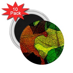 Colorful Autumn Leaves Texture Abstract Pattern 2 25  Magnets (10 Pack) 