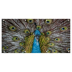 Peacock-feathers2 Banner And Sign 8  X 4  by nateshop