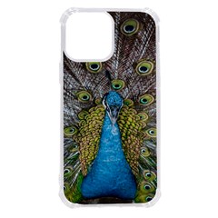 Peacock-feathers2 Iphone 13 Pro Max Tpu Uv Print Case by nateshop