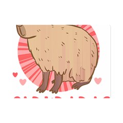 Capybara Love T- Shirt Just A Girl Who Loves Capybaras A Cute Design For Capybara Lovers T- Shirt Yoga Reflexion Pose T- Shirtyoga Reflexion Pose T- Shirt Premium Plush Fleece Blanket (mini) by hizuto