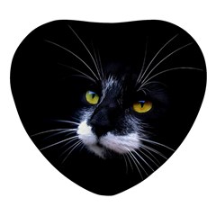 Face Black Cat Heart Glass Fridge Magnet (4 Pack) by Ket1n9