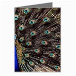 Peacock Greeting Card Left
