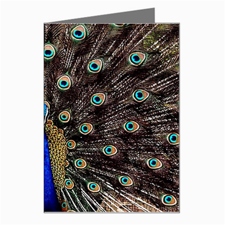 Peacock Greeting Card